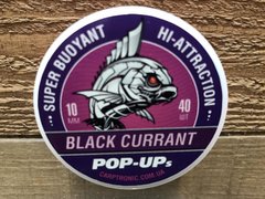 Бойли Pop-Up Carptronik Black Currant (Чорна смородина) 10мм 40шт.